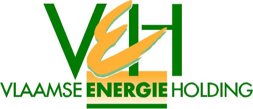 Vlaamse Energie Holding