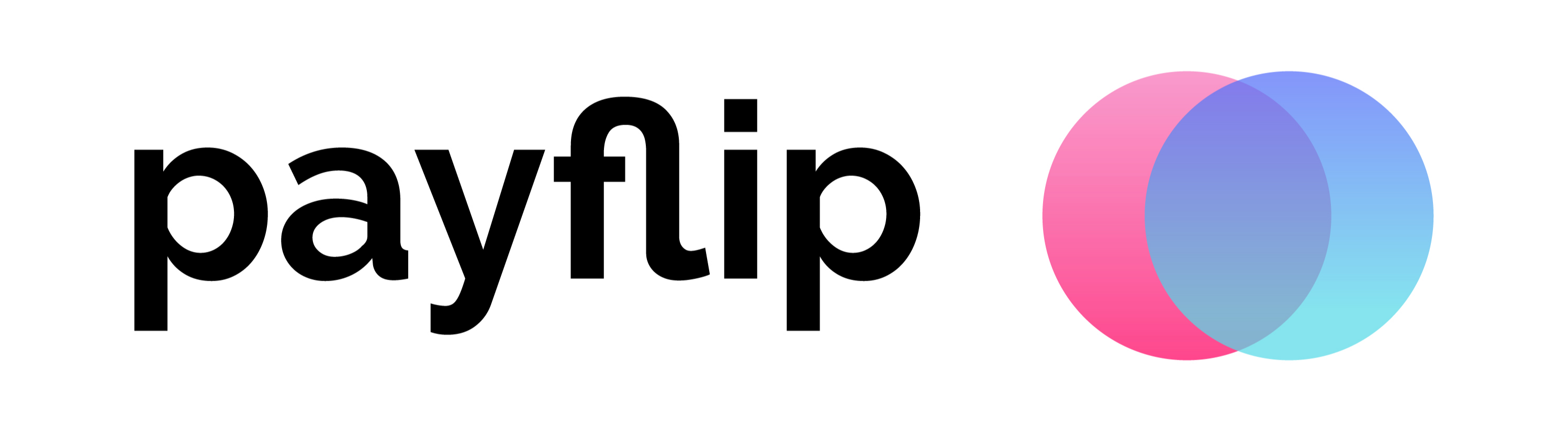 logo-payflip1