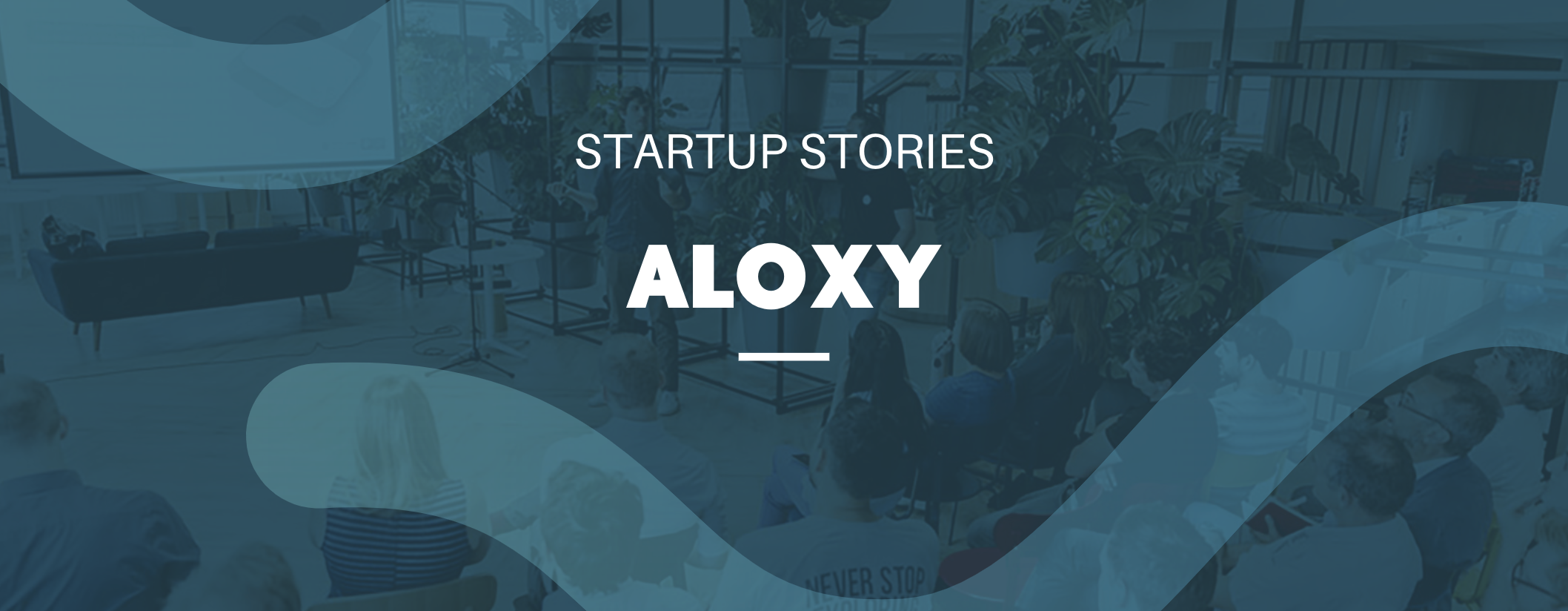 startupstoryaloxy